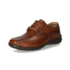 Josef Seibel Anvers 08 - Zapatos Con Cordones - Braun